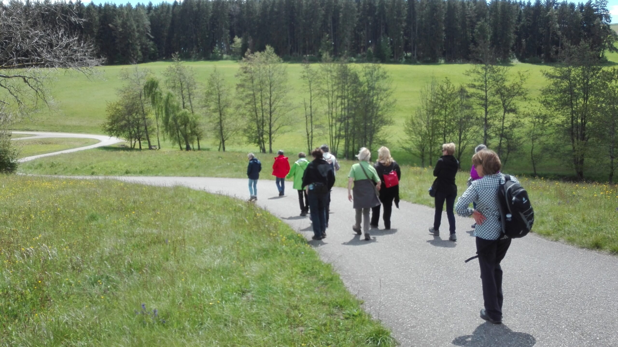 Kräuterwanderungen